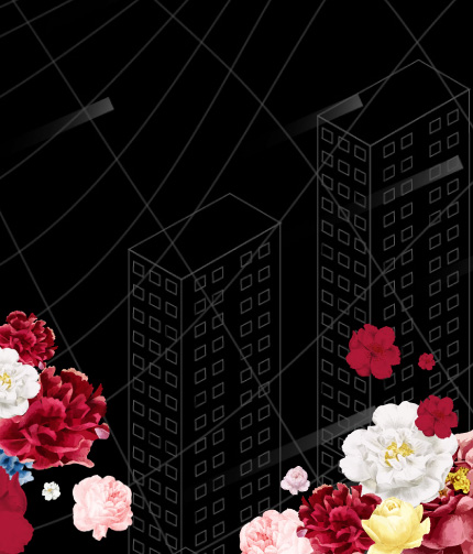 公司信息